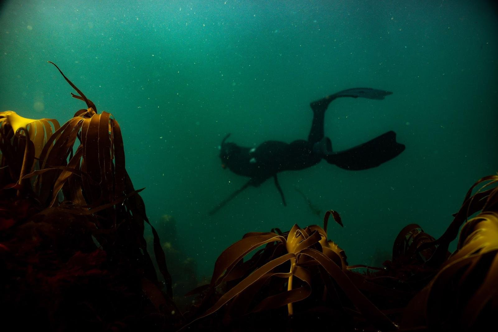 Simon Ashbery, professional voice actor, preparing to dive in the ocean off the coast of West Cornwall